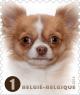 Colnect-1958-031-Chihuahua-Canis-lupus-familiaris.jpg
