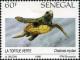 Colnect-2133-350-Green-Sea-Turtle-Chelonia-mydas.jpg