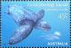 Colnect-2495-771-Leatherback-Sea-Turtle-Dermochelys-coriacea.jpg