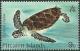 Colnect-3952-013-Green-sea-turtle-Chelonia-mydas.jpg