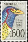 Colnect-1617-959-Yellow-billed-Barbet-Trachyphonus-purpuratus.jpg