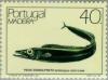Colnect-186-148-Black-Scabbardfish-Aphanopus-carbo.jpg