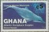 Colnect-2323-754-Atlantic-Humpbacked-Dolphin-Sousa-teuszii.jpg