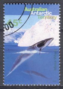 Colnect-813-105-Minke-Whale-Balaenoptera-acutorostrata.jpg