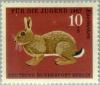 Colnect-155-053-European-Rabbit-Oryctolagus-cuniculus.jpg