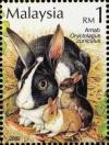 Colnect-4348-066-European-Rabbit-Oryctolagus-cuniculus.jpg