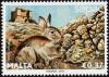 Colnect-5249-056-European-Rabbit-Oryctolagus-cuniculus.jpg