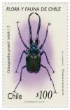 Colnect-566-755-Grant--s-Stag-Beetle-Chiasognathus-grantii.jpg