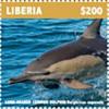 Colnect-5727-030-Long-Beaked-Common-Dolphin.jpg