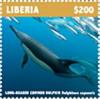 Colnect-5727-031-Long-Beaked-Common-Dolphin.jpg