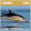 Colnect-5727-033-Long-Beaked-Common-Dolphin.jpg