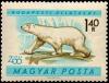 Colnect-813-950-Polar-Bear-Ursus-maritimus.jpg