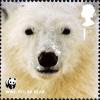 Colnect-911-032-Polar-Bear-Ursus-maritimus.jpg