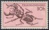 Skap-czechoslovakia_02_bfly-beet.jpg-crop-296x184at3-3.jpg