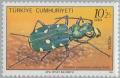 Colnect-2588-615-Green-Tiger-Beetle-Cicindela-campestris.jpg
