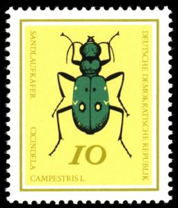 Colnect-1975-500-Green-Tiger-Beetle-Cicindela-campestris.jpg