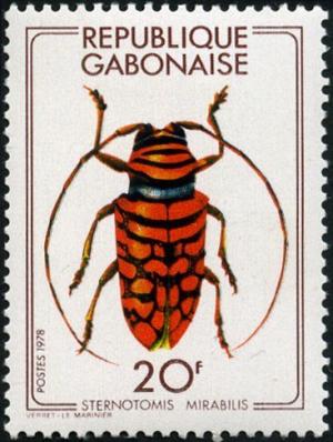 Colnect-1209-603-Long-horned-Beetle-Sternotomis-mirabilis.jpg