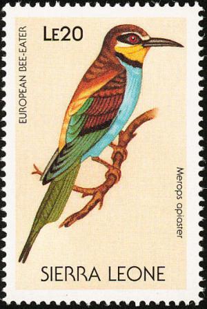 Colnect-1618-029-European-Bee-eater-Merops-apiaster.jpg