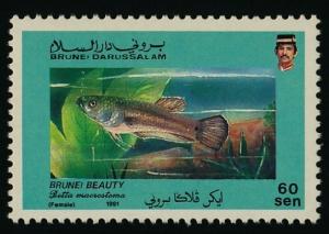 Colnect-1666-211-Brunei-Beauty-Betta-macrostoma.jpg