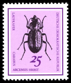 Colnect-1975-503-Ground-Beetle-Carabus-arcensis.jpg