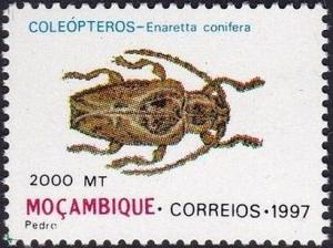 Colnect-2492-886-Longhorn-Beetle-Enaretta-conifera.jpg