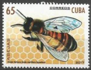 Colnect-4628-807-Italian-Honeybee-Apis-mellifera-ligustica.jpg