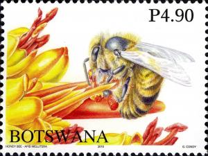 Colnect-931-728-African-Honey-Bee-Apis-mellifera-scutellata.jpg