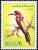 Colnect-1648-453-European-Bee-eater-Merops-apiaster.jpg