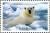 Colnect-766-404-Polar-Bear-Ursus-maritimus.jpg