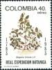 Colnect-5858-583-Begonia-urticae.jpg