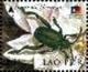 Colnect-2541-504-Leaf-Beetle-Sagra-femorata.jpg