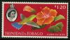 Colnect-1266-019-Copper-rumped-Hummingbird-Amazilia-tobaci-Hibiscus-Flower.jpg