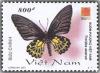 Colnect-1661-197-Golden-Birdwing-Troides-aeacus.jpg