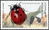 Colnect-4169-074-Seven-spot-Ladybird-Coccinella-septempunctata.jpg