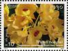 Colnect-551-399-Orchids---Dendrobium-moschatum-Buch-Ham-Swartz.jpg