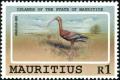 Colnect-1065-637-Glossy-Ibis-Plegadis-falcinellus.jpg