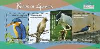 Colnect-1721-818-Birds-of-Gambia.jpg