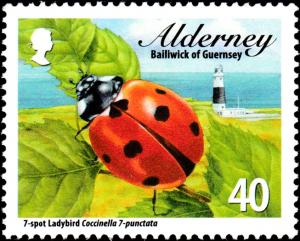 Colnect-5562-383-Seven-Spot-Ladybird-Coccinella-septempunctata-.jpg
