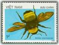 Colnect-1633-021-American-Bumble-Bee-Bombus-americanorum.jpg