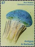 Colnect-6446-208-Blue-Babbler-Catostylus-mosaicus.jpg
