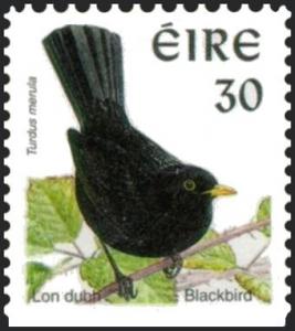 Colnect-1813-226-Common-Blackbird-Turdus-merula.jpg