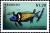 Colnect-4105-274-Bluehead-wrasse.jpg