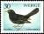 Colnect-4279-109-Common-Blackbird-Turdus-merula.jpg