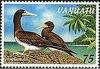 Colnect-1239-766-Brown-Booby-Sula-leucogaster.jpg