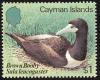 Colnect-1407-217-Brown-Booby-Sula-leucogaster.jpg