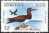 Colnect-2016-008-Brown-Booby-Sula-leucogaster.jpg