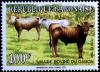 Colnect-2796-050-Cattle-Bos-primigenius-taurus.jpg