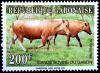 Colnect-2796-052-Cattle-Bos-primigenius-taurus.jpg