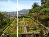 Colnect-546-913-Botanic-garden.jpg