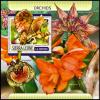 Colnect-5681-172-Bulbophyllum-monanthum.jpg